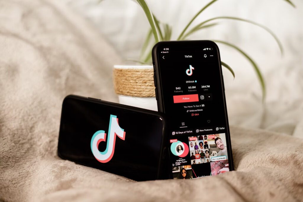 Phone screen showing the TikTok official page.