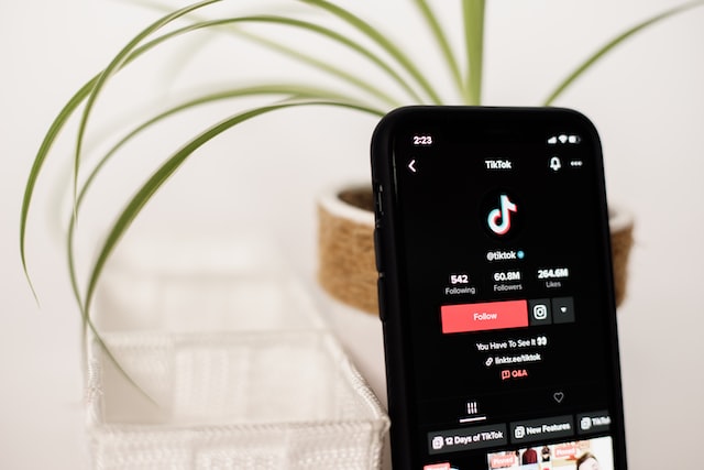 Phone screen displaying official TikTok account.