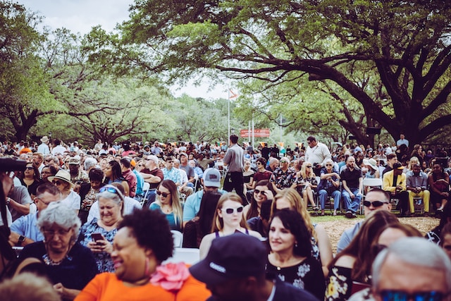 A large audience at a park representing a frequency ad group and qualified customers.