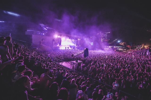 A big audience watching a live performance.