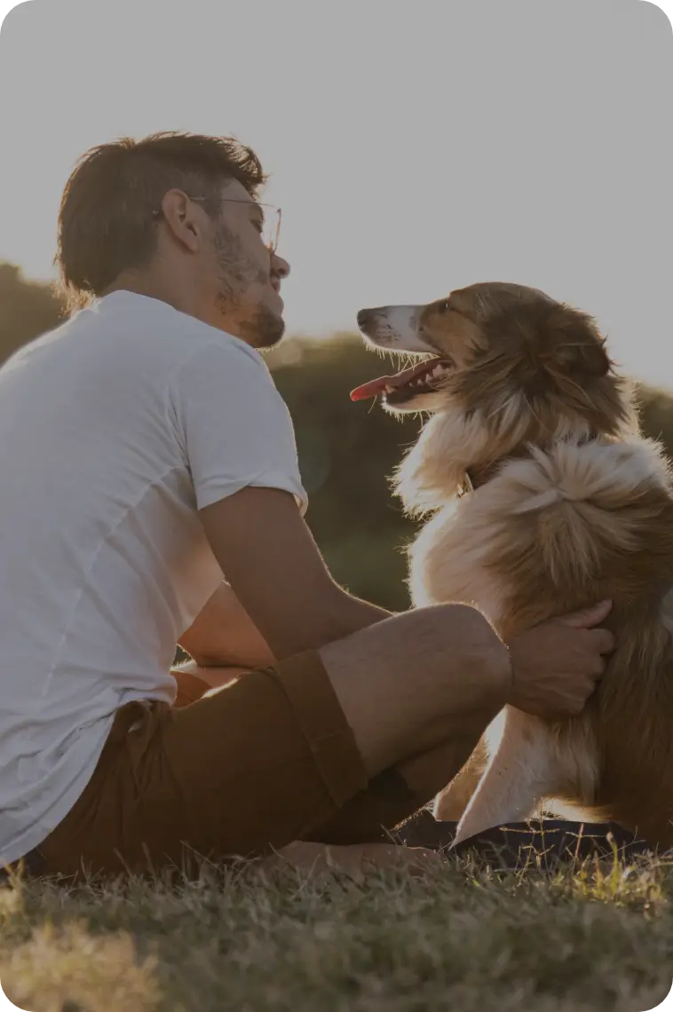 Pets@2x.webp