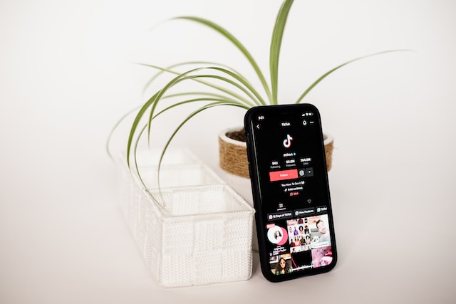 A TikTok Profile with a large follower base and engagements.