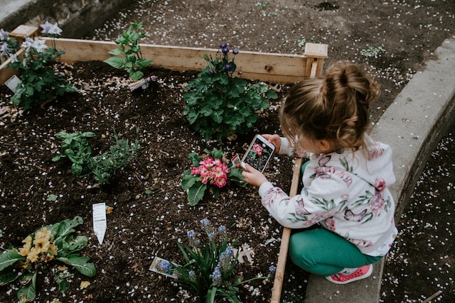 A young girl taking a photo of flowers using a phone camera.