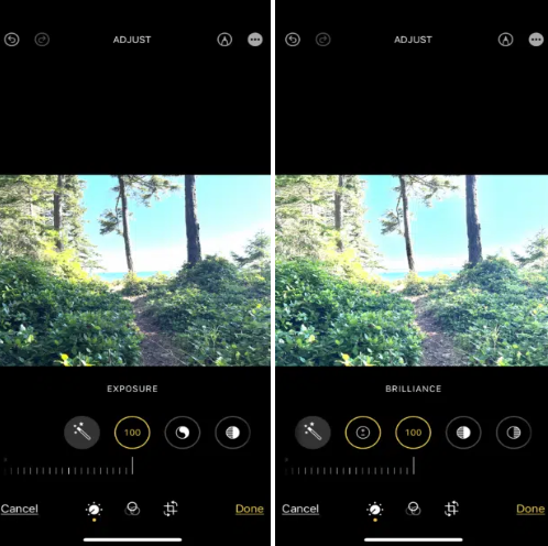 Two screenshots of a path in the woods showing how to adjust the image exposure and brilliance.