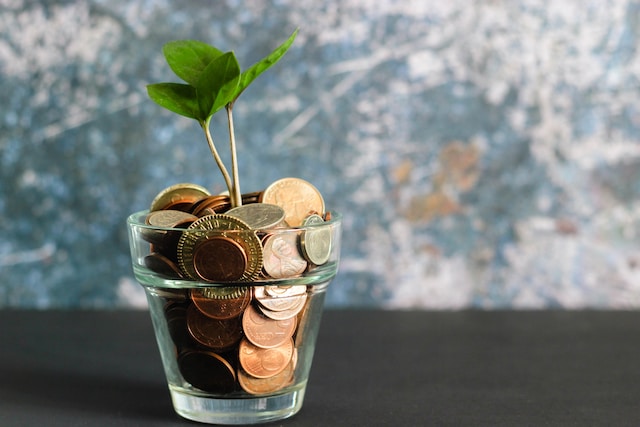 A small jar of coins with a plant in the middle.