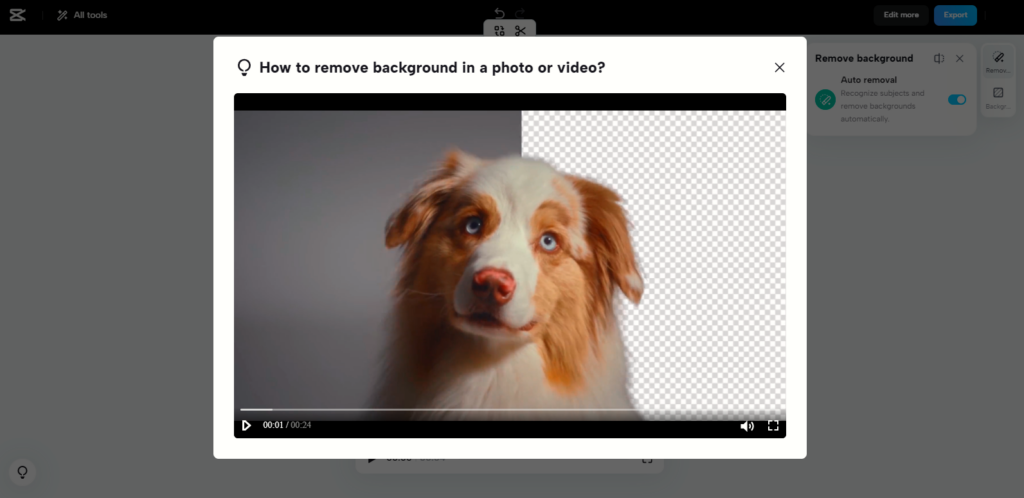 Screenshot of CapCut video tutorial on how to remove background in a photo or video.