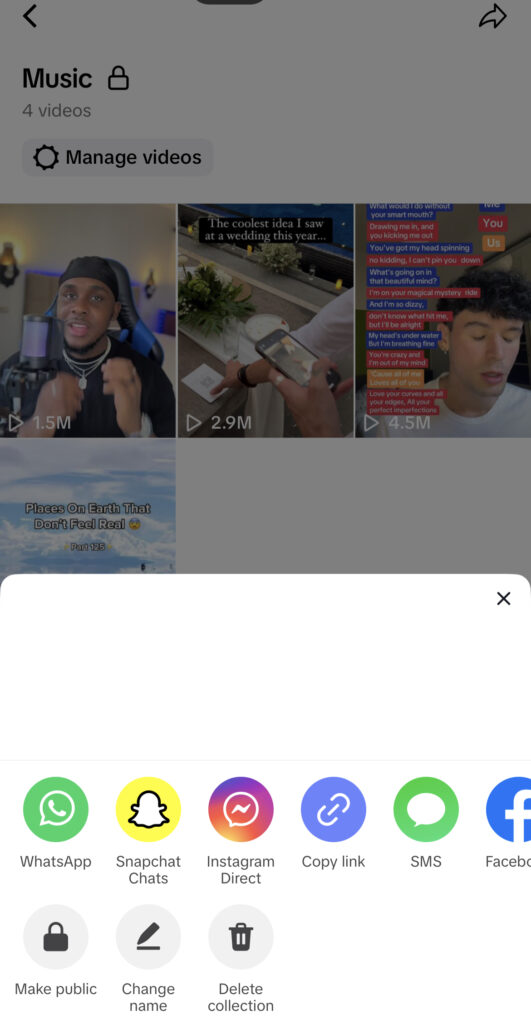 High Social’s screenshot of the option to delete a collection.