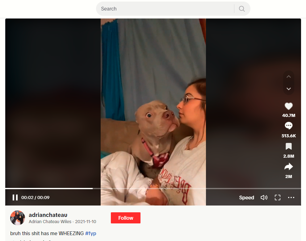 A screenshot of a woman and her dog making a silly face in a TikTok video.