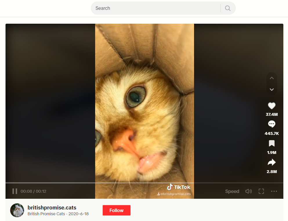 A screenshot of a cat with its head stuck inside a box with a camera at the bottom.
