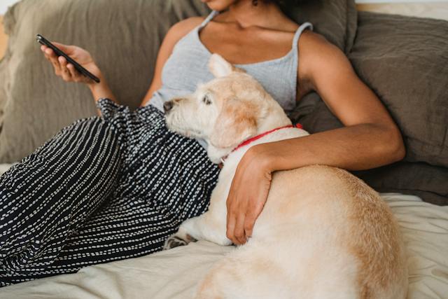 A photo of a woman and her dog watching videos on her phone.