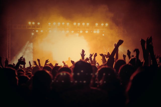 An image of a big and lively audience at a concert.