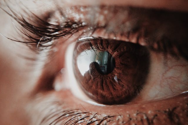 A close-up shot of a person’s brown eye.