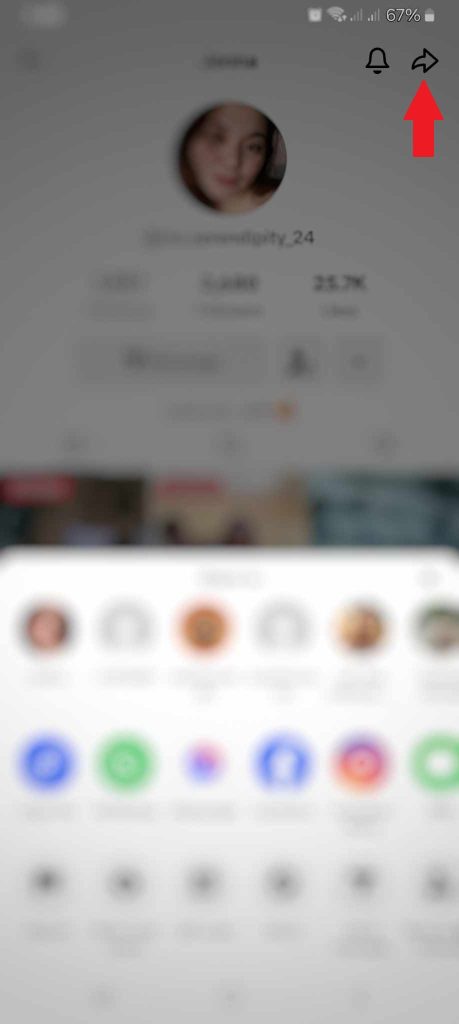 High Social’s screenshot shows how to remove a follower from the user’s profile page by tapping the Share button.