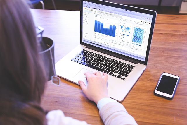 A person checks graphs and stats on a laptop.