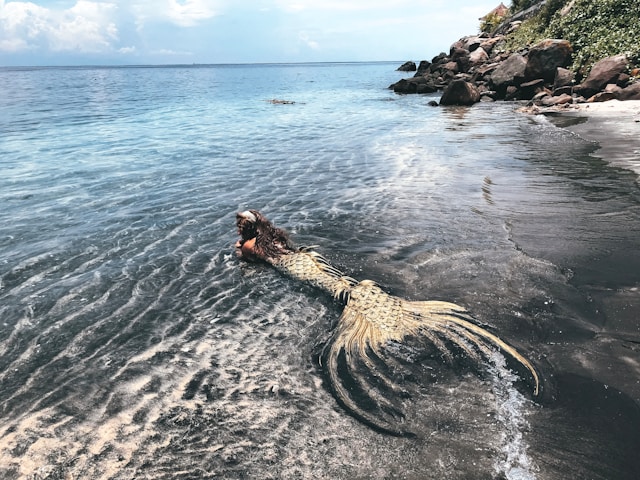A woman in a mermaid costume lies in shallow waters at the beach.