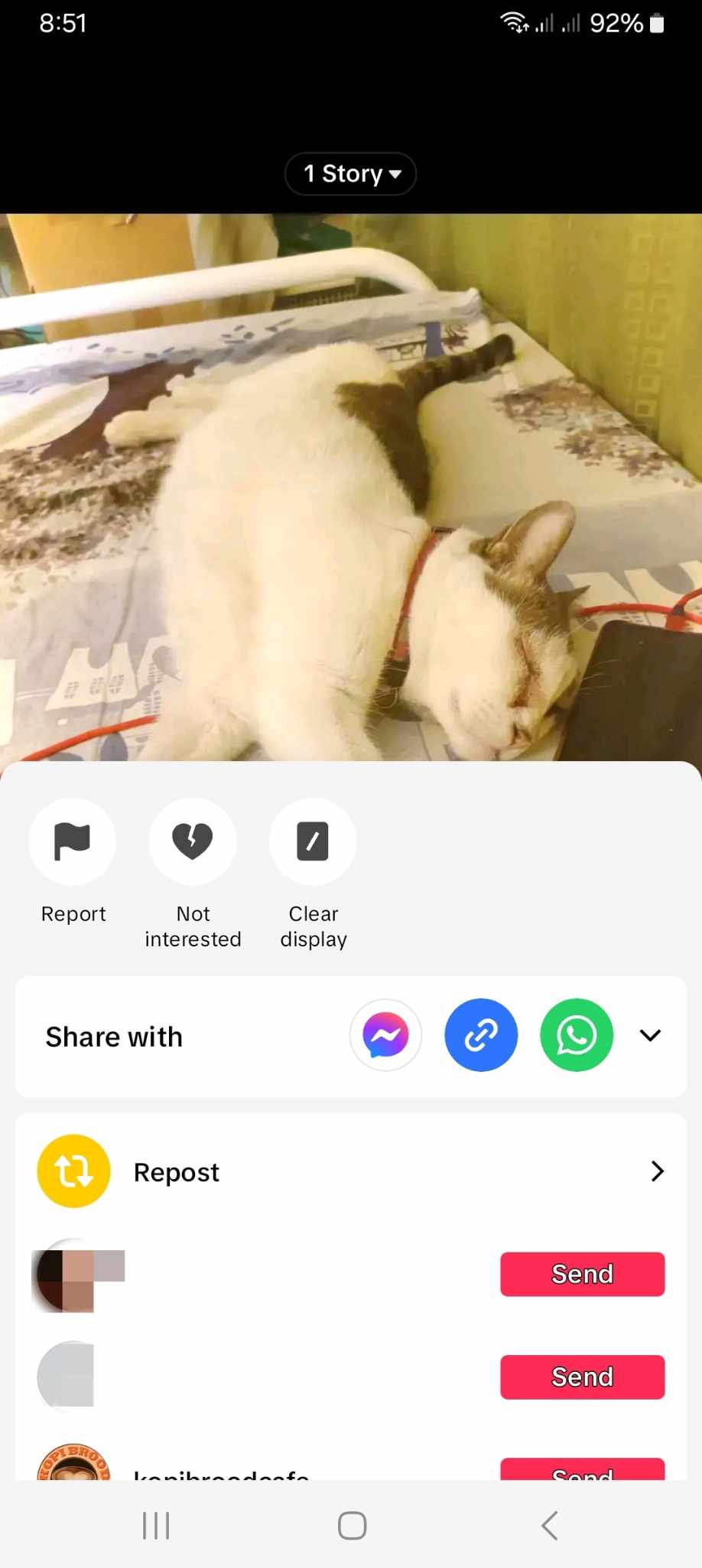 High Social’s screenshot shows how to repost a TikTok video.