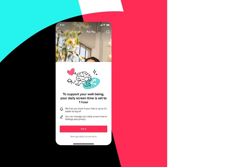 High Social’s screenshot of TikTok’s Screen Time management feature.