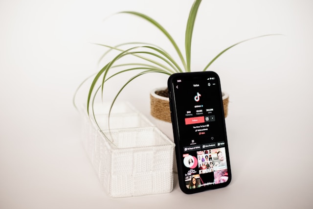 A phone next to a flower vase displays TikTok’s official profile on TikTok.