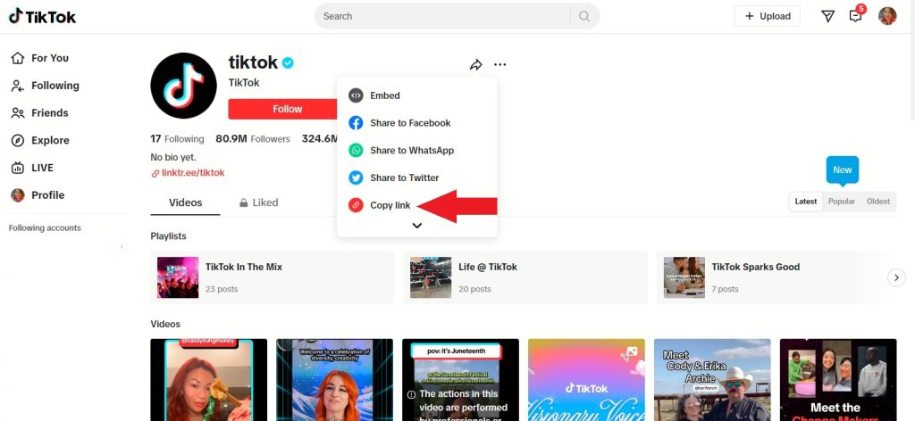 High Social’s screenshot shows TikTok’s official page and how to find its URL.