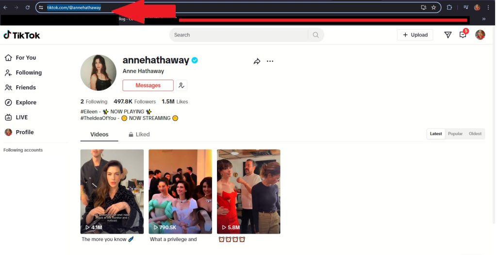 High Social’s screenshot shows where to find the TikTok URL on the address bar.