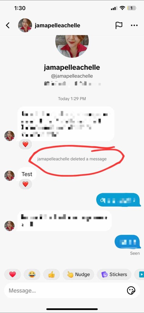 High Social’s screenshot shows TikTok’s notification of a deleted message in someone’s inbox.