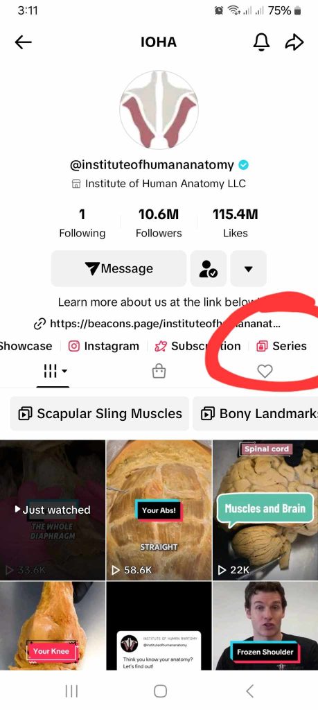 High Social’s screenshot how to add a Favorite series to TikTok.