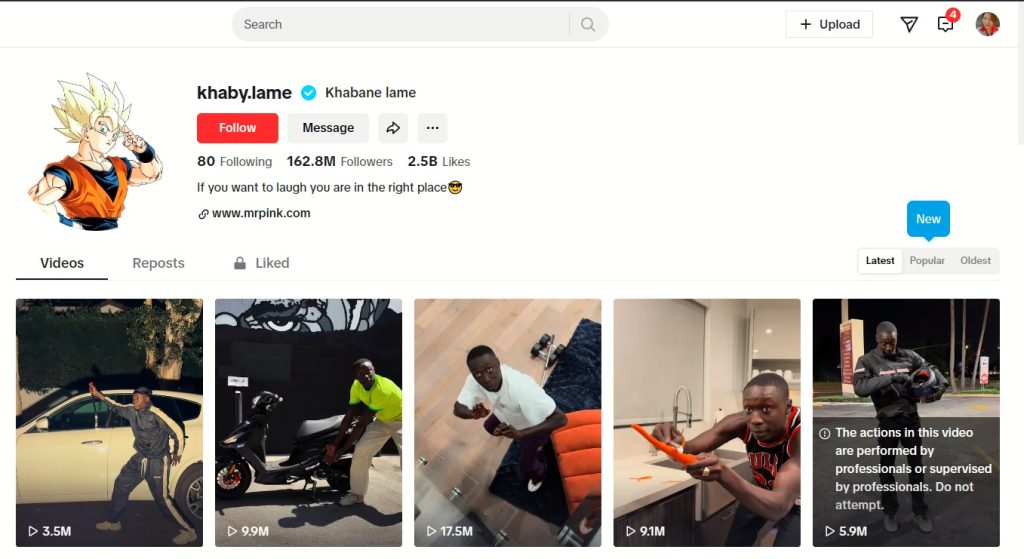 High Social’s screenshot shows Khabane Lame’s TikTok profile page.