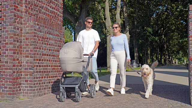 A man pushes a pram, and a woman walks their dog on a leash.