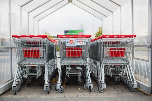 Rows of empty shopping carts.